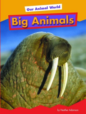 cover image of Big Animals